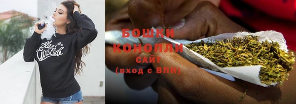 ГАЛЛЮЦИНОГЕННЫЕ ГРИБЫ Краснослободск